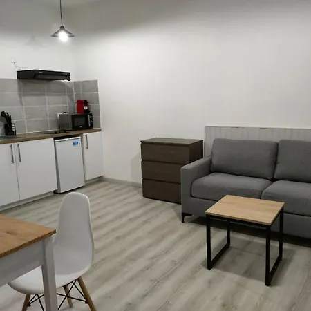 Saint Etienne Studio Lot 8 * Toulouse