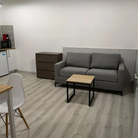 Saint Etienne Studio Lot 8 Appartement